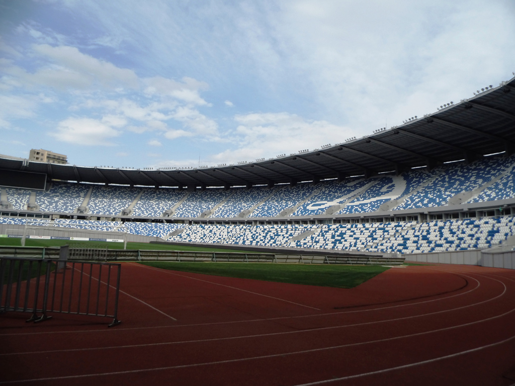 Стадион Динамо Тбилиси вместимость. Стадион динамо ростов