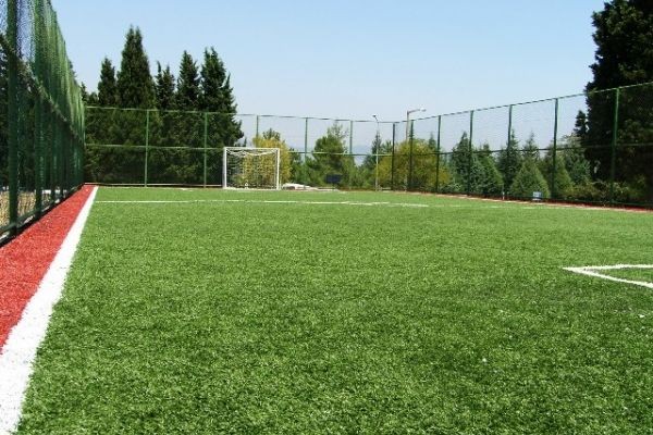 Требования к качеству газона для футбола